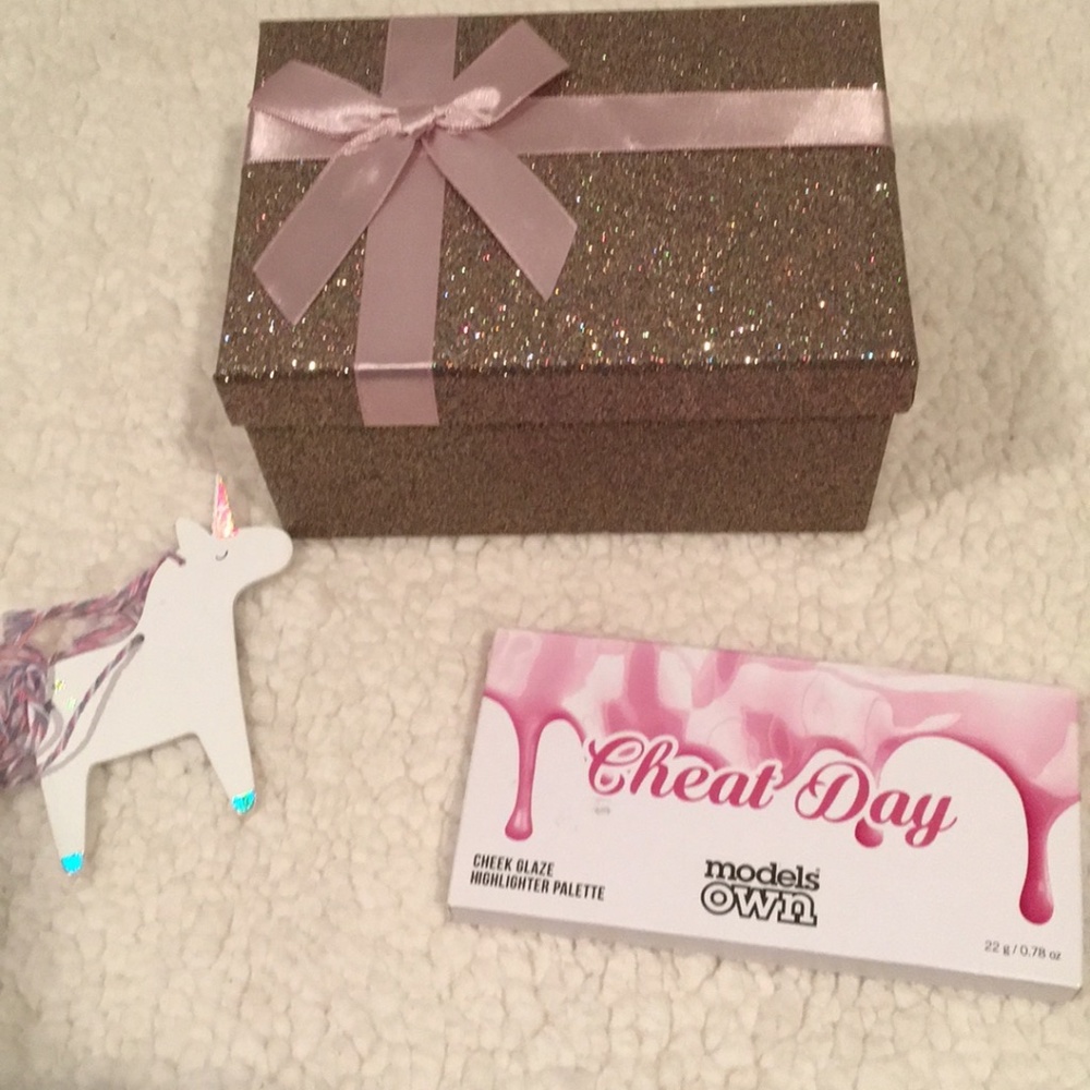 ModelsOwn CheatDay CheekGlaze Highlighter  Palatte